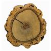 Image 1 : Frontierland Cork Oak Tree Cross Section.