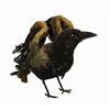 Image 2 : Haunted Mansion Prop Raven.