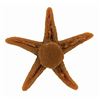 Image 2 : Submarine Voyage Starfish Prop.