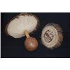 Image 1 : ULI ULI (NO FEATHERS) (1 CRACKED) (2 PCS)