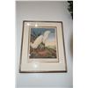 Image 1 : FRAMED AUDOBON PRINT (DAMAGE TO FRAME)