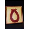 Image 1 : KOA FRAMED SHADOW BOX W/FEATHER LEI