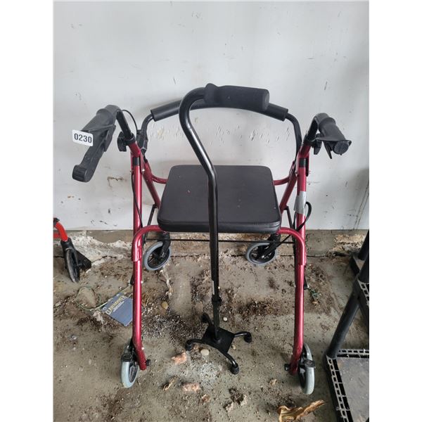 BIOS Walker & Stabilizing Cane