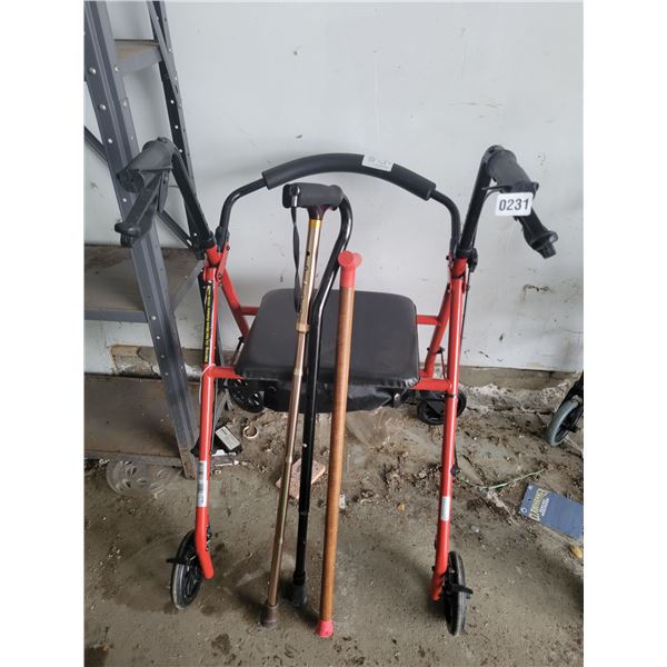 Walker with Three Canes