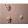 Image 1 : Three Porcelain Heads