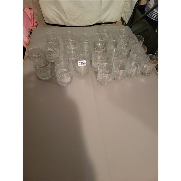 24 Glasses (Calgary Saddledome)