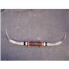 Image 1 : Steer horns, 51" wide