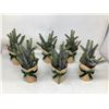 Image 1 : Small Artificial Potted Evergreens
