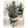 Image 2 : Small Artificial Potted Evergreens