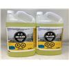 Image 1 : De-Icer Windshield Washer (2 x 3.78L)