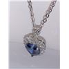 Image 2 : Titanic Heart of the Ocean rhodium plated pendant and chain set