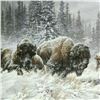 Image 2 : Larry Fanning, "Front Range Storm - Colorado Buffalo" Hand Signed and Numbered Limited Edition Litho