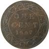 Image 2 : 1907H ICCS MS-60 Brown