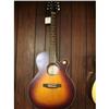 Image 1 : TAKAMINE EG5403SC - GUITAR