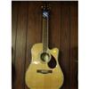 Image 1 : SAMICK D8CE - GUITAR