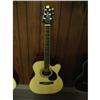 Image 1 : SAMICK OM5CE - GUITAR