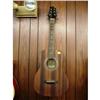 Image 1 : SAMICK ST6-1SN - GUITAR