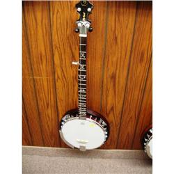 JOHNSON BANJO - 5 STRING