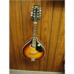 SAMICK BANJO - SB-2 5 STRING