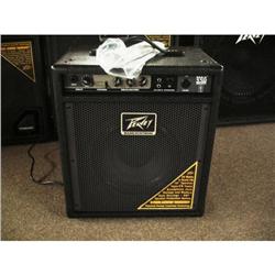 PEAVY 110 - AMP