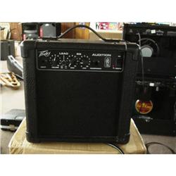 PEAVY AUDITION - AMP