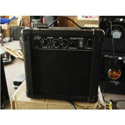 PEAVY AUDITION - AMP