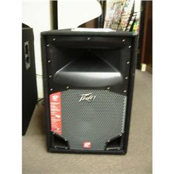 PEAVY SP 2  - SPEAKER