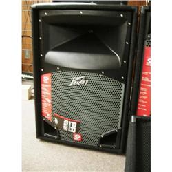 PEAVY SP 2  - SPEAKER