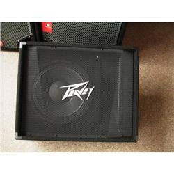PEAVY 12 M  - SPEAKER