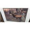 Image 2 : FRAMED ELK HEAD PRINT BY CYNTHIE FISHER 27"W X 23"H