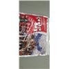 Image 2 : COCA COLA INSULATION/ COOLER BAG 14" X 12"