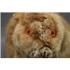 Image 8 : NATIVE AMERICAN CREE BEADED BEAVER WITH BEAVER HIDE RUG