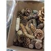 Image 3 : 2 BOXES OF CHRISTMAS LIGHTS, DECOR AND DECORATIVE PINECONES
