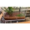 Image 2 : OBLONG SERIES AQUARIUM WITH LIVE PLANTS