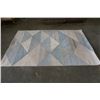 Image 1 : PIER 1 IMPORTS 5 X 8 FOOT AREA RUG