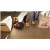 Image 2 : LOT OF TETLEY TEA COLLECTIBLES  AND HEDGEHOGS