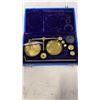 Image 2 : GOLD SCALE