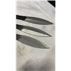 Image 2 : THREE 9 INCH THROWING KNIVES WITH SHEATH