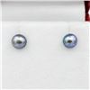 Image 1 : 10KT. YELLOW GOLD 5MM GENUINE FRESHWATER PEARL EARRINGS, W/A $320.00