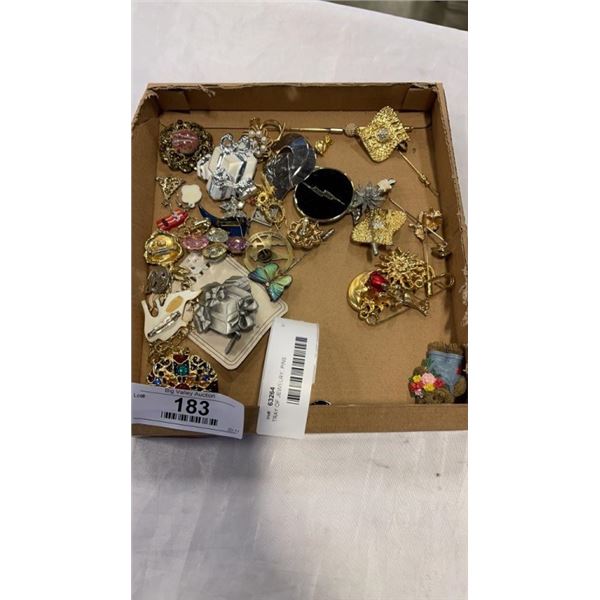 TRAY OF JEWELRY, PINS