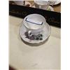 Image 10 : 6 CHINA TEACUPS AND SAUCERS QUEEN ANNE, PARAGON, LUXFORD, ROYAL OSBOURNE, ROYTAL VALE