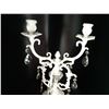 Image 3 : Candlelabra Cat A