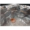 Image 5 : Footed Glass Dish Cat A