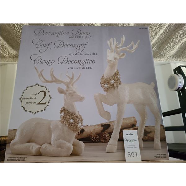 LED Lite Decorative Deer Set of 2 Cat B