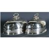 Image 1 : 1 PAIR OF SILVERPLATED FERNERS (formerly a tu
