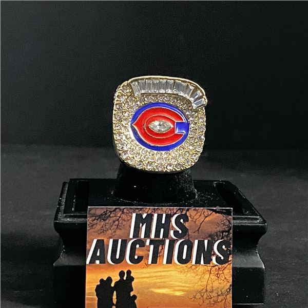 CHICAGO BEARS N.F.L 2006  CURRIE  CHAMPIONSHIP REPLICA RING (ref743)