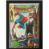 Image 1 : THE AMAZING SPIDER-MAN #95 (MARVEL COMICS)