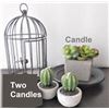 Image 1 : Small Decor Lot - Cactus Candles and Pottery Dish