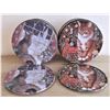 Image 2 : Christmas Cat Coasters and Stockings