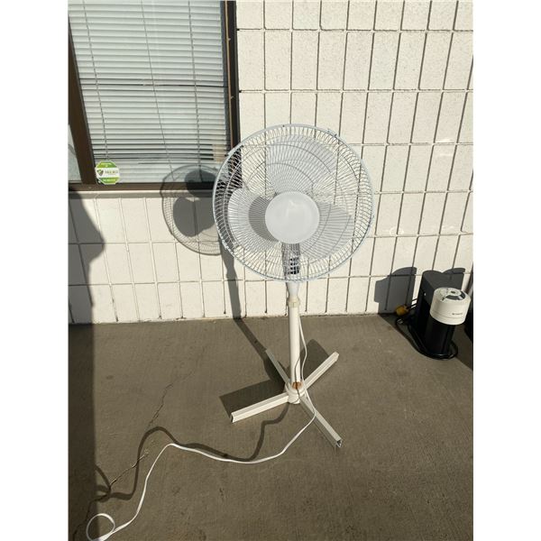 Fan